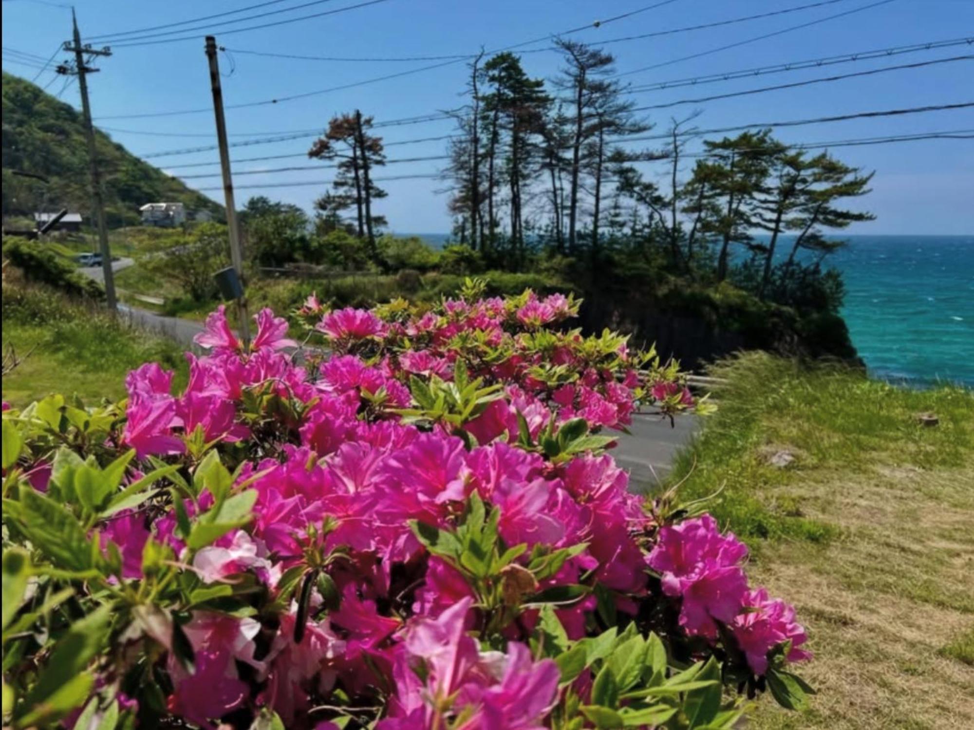 レンタルコテージサントロペ Kyotango Exterior photo